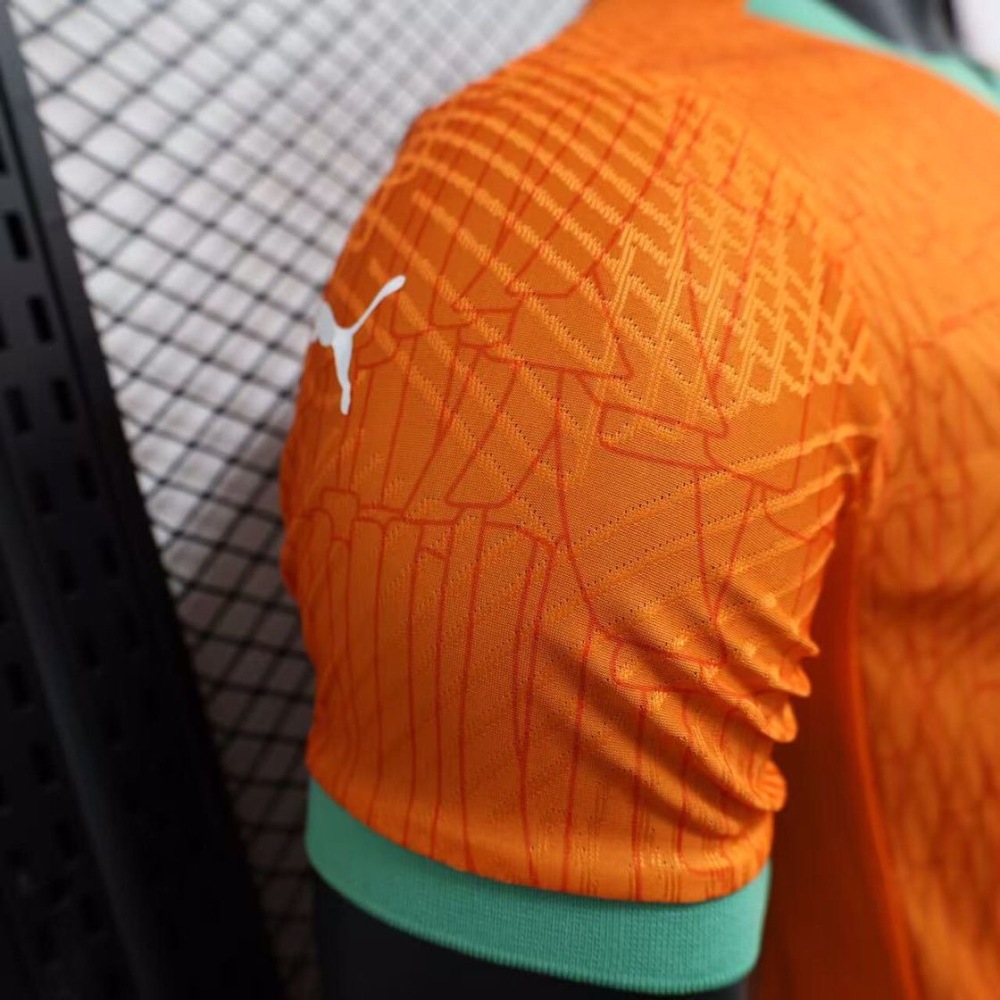 Ivory Coast Authentic Soccer Jersey Home Shirt 2024-25