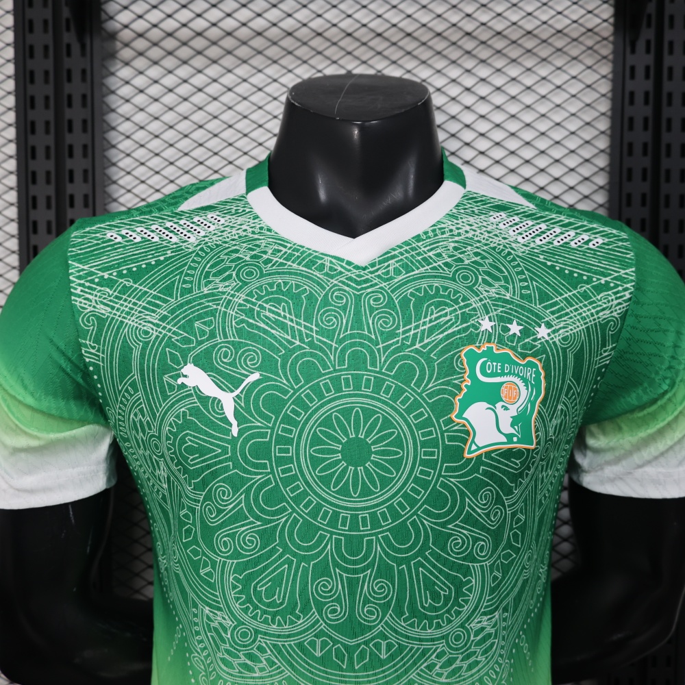 Ivory Coast Authentic Soccer Jersey Pre-Match Shirt 2026 World Cup