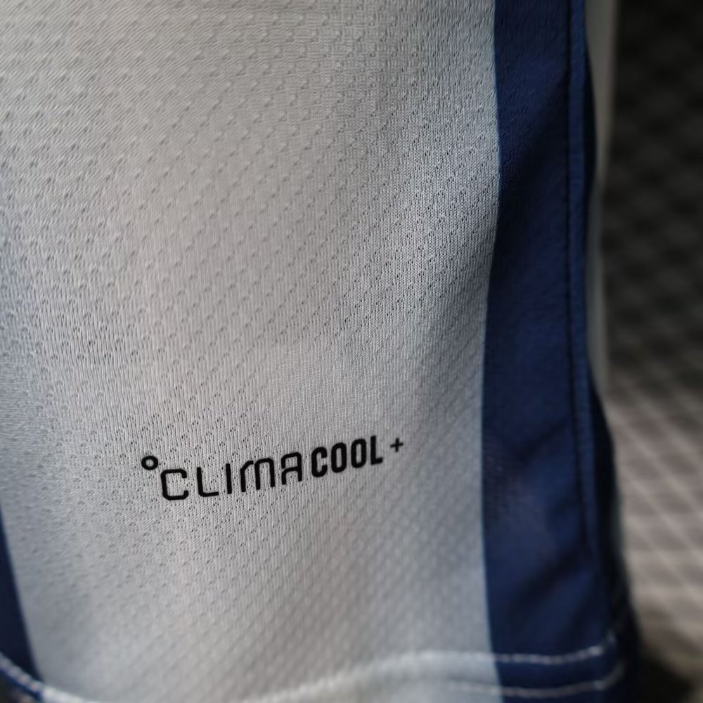 Japan Authentic Soccer Jersey Special Edition Shirt World Cup 2026