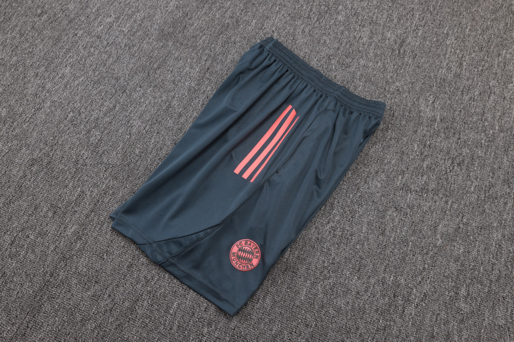 Bayern Munich Sleeveless Training Kit Gray 2025/26