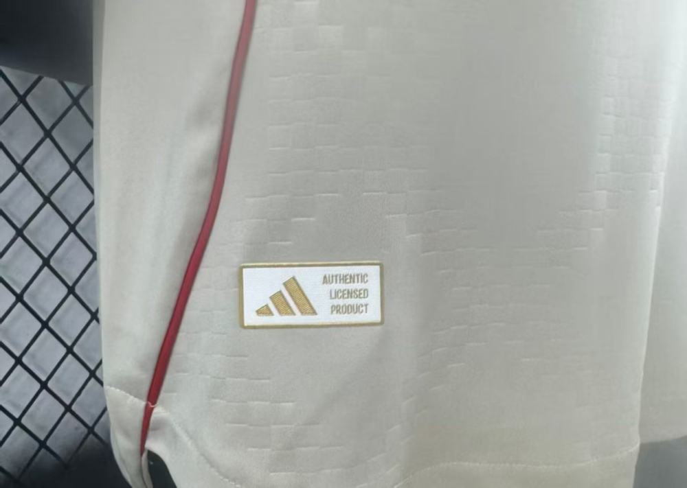 Benfica Authentic Soccer Jersey Away Shirt 2025/26