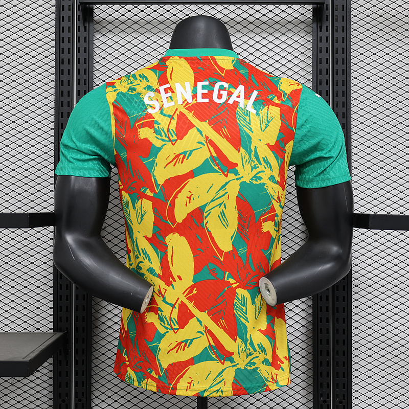 Ivory Coast Authentic Soccer Jersey Pre-Match Shirt 2024