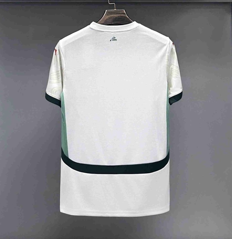 Ivory Coast Soccer Jersey Away Custom Shirt World Cup 2024-25