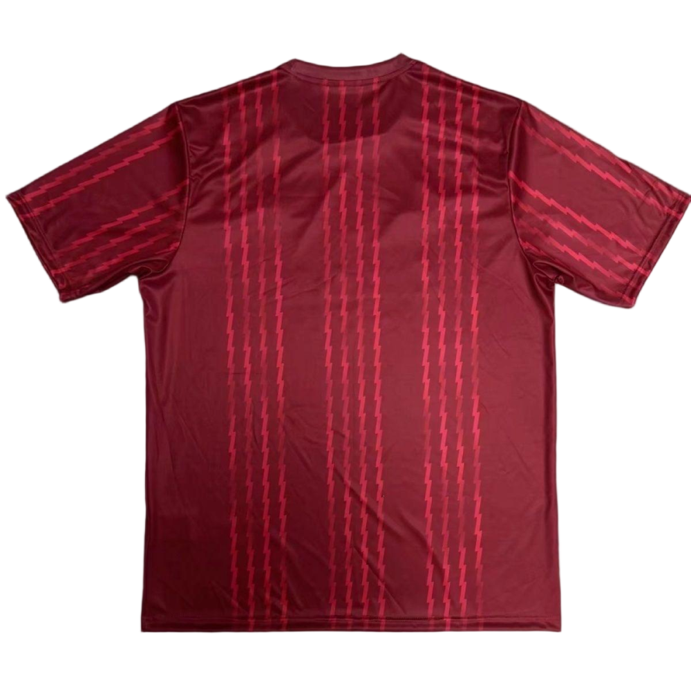 Arsenal Soccer Jersey Pre-match Custom Shirt 2025/26