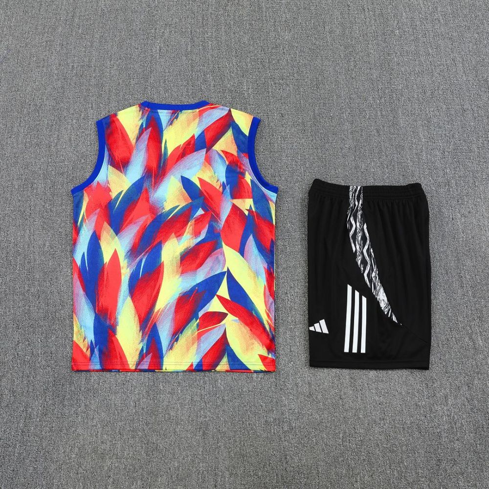 Arsenal Sleeveless Training Kit Colorful 2025/26