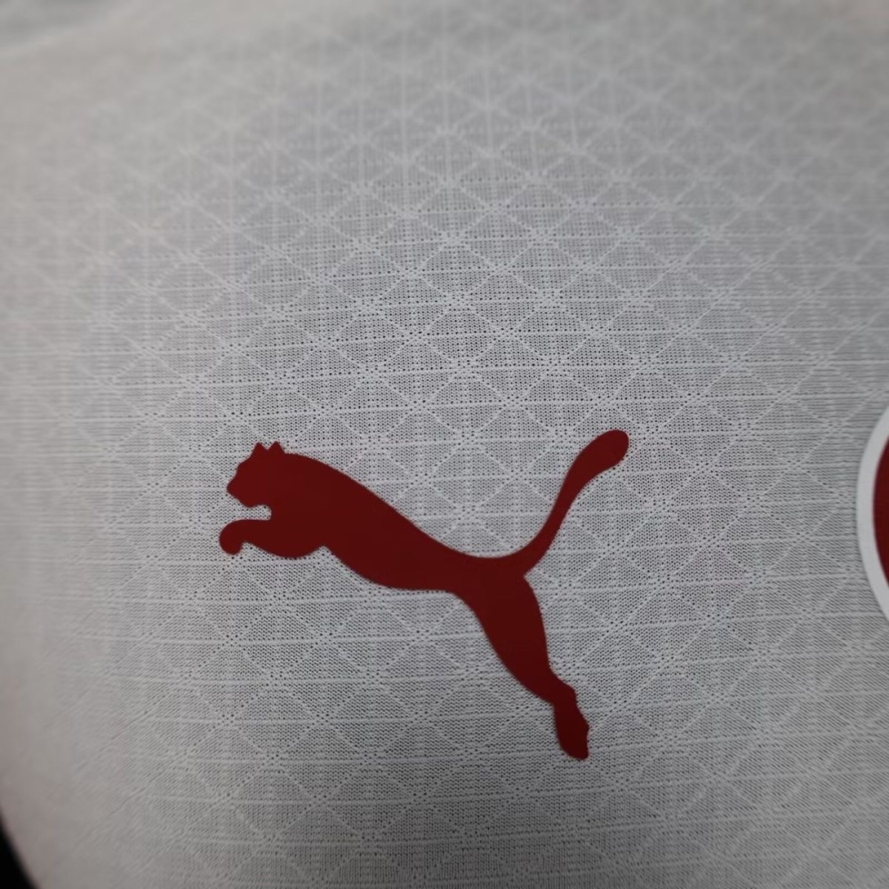Galatasaray Authentic Away Football Jersey 2025/26