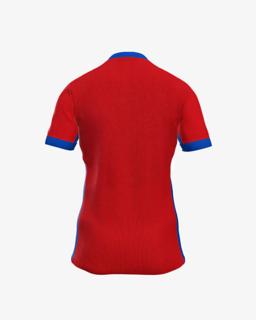 FCSB Soccer Jersey Home Custom Shirt 2025-26