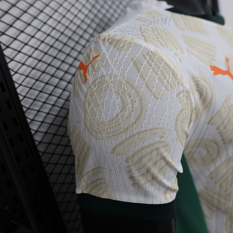 Ivory Coast Authentic Soccer Jersey Away Shirt 2024-25