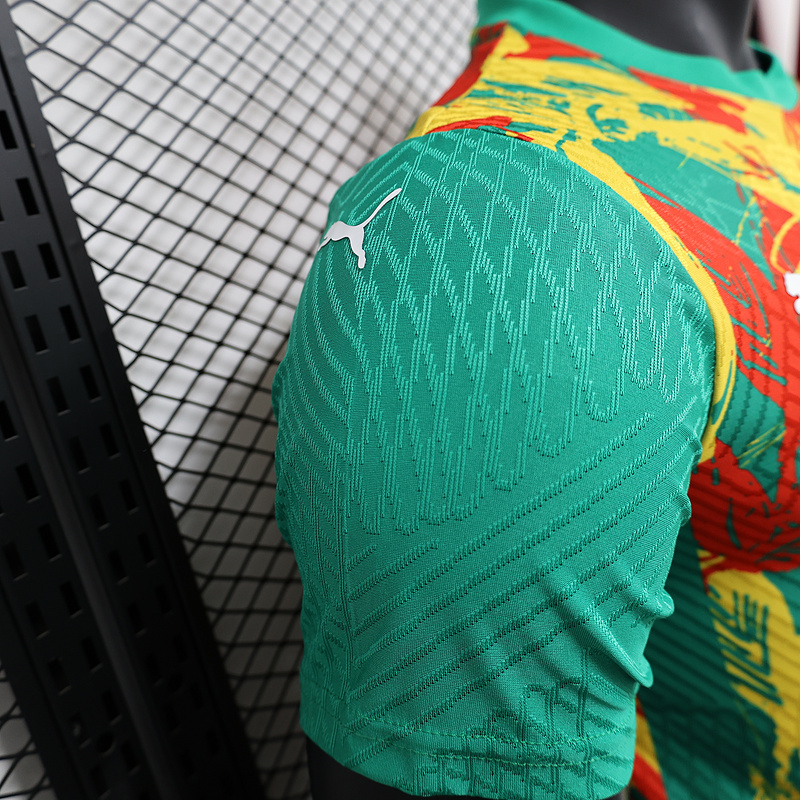 Ivory Coast Authentic Soccer Jersey Pre-Match Shirt 2024