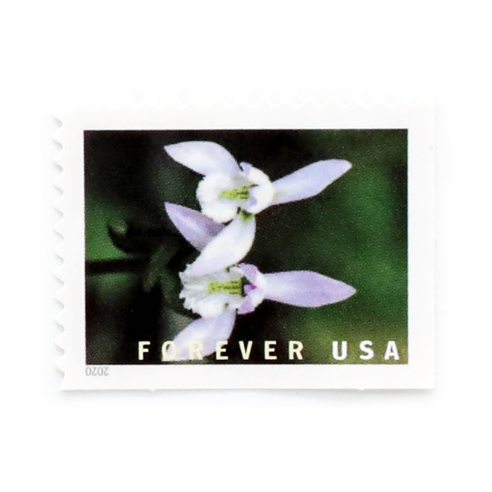 2020 Wild Orchids Forever First Class Postage Stamps