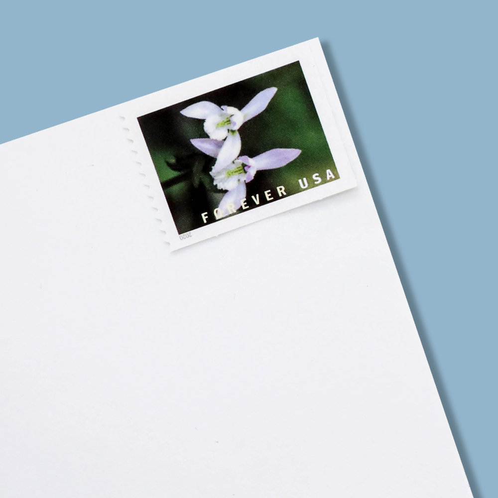 2020 Wild Orchids Forever First Class Postage Stamps