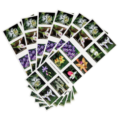 2020 Wild Orchids Forever First Class Postage Stamps