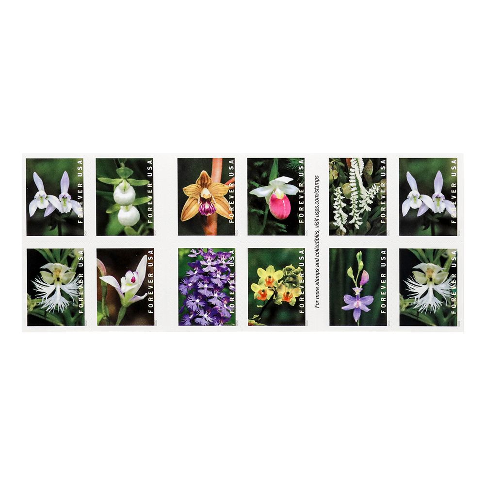 2020 Wild Orchids Forever First Class Postage Stamps
