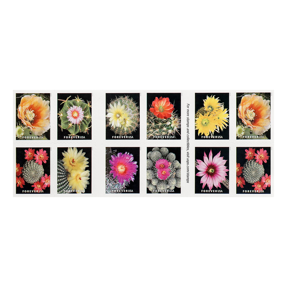 2019 cactus flowers Forever First Class Postage Stamps