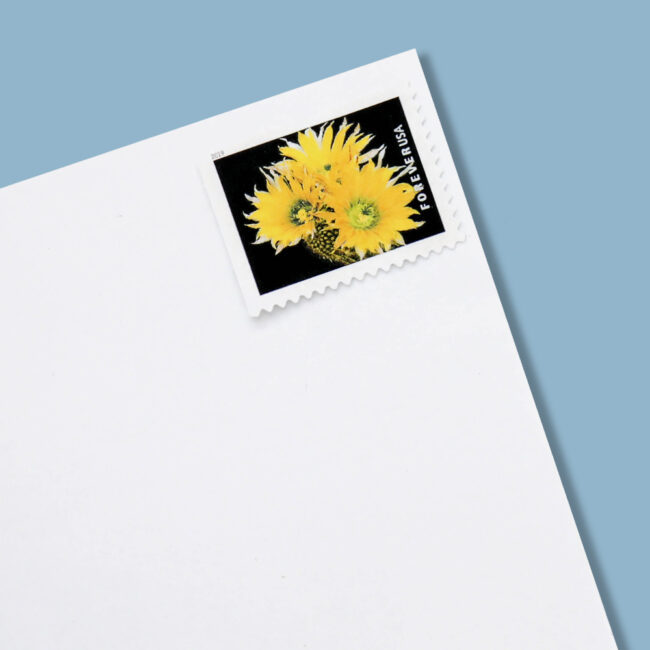2019 cactus flowers Forever First Class Postage Stamps