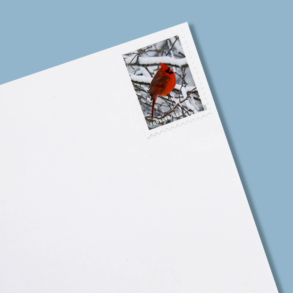 2020 Winter Scenes Forever First Class Postage Stamps