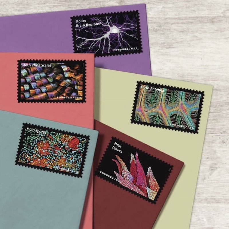 2023 Life Magnified Imperf Forever First Class Postage Stamps