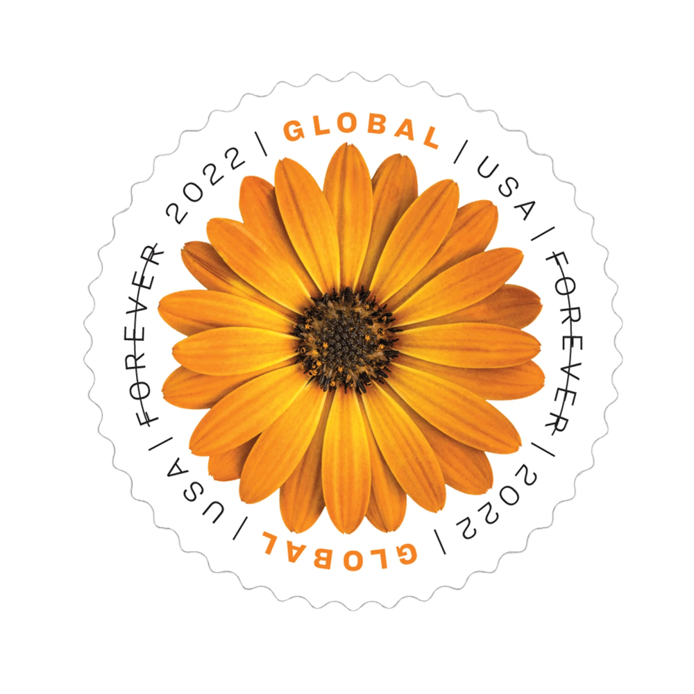 2022 African Daisy Forever First Class Postage Stamps