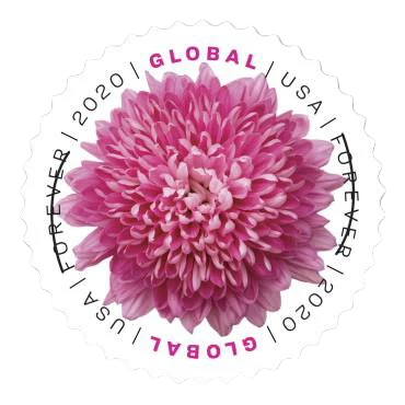 2020 Chrysanthemum Forever First Class Postage Stamps