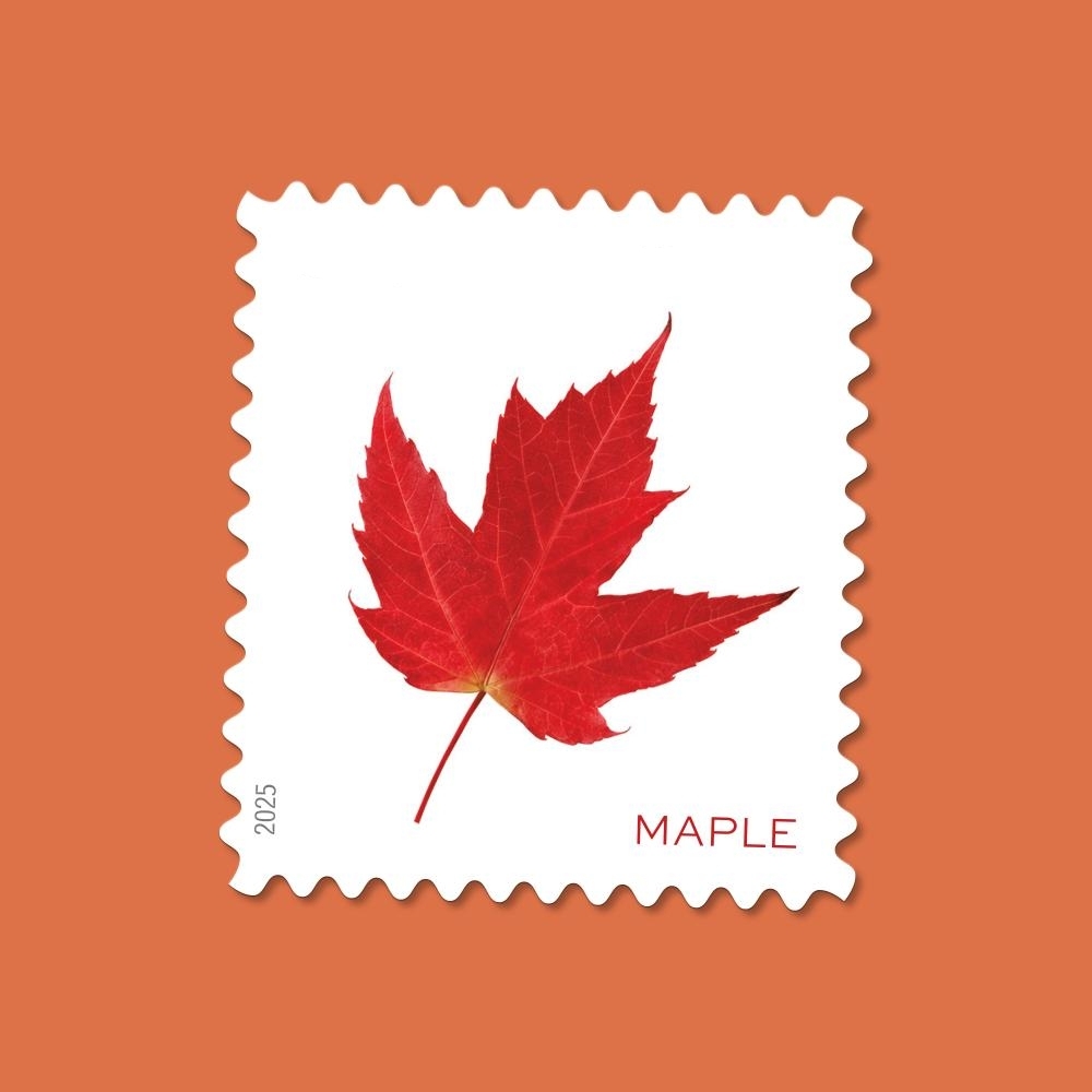 2025 Vibrant Leaves Rolls Forever First Class Postage Stamps