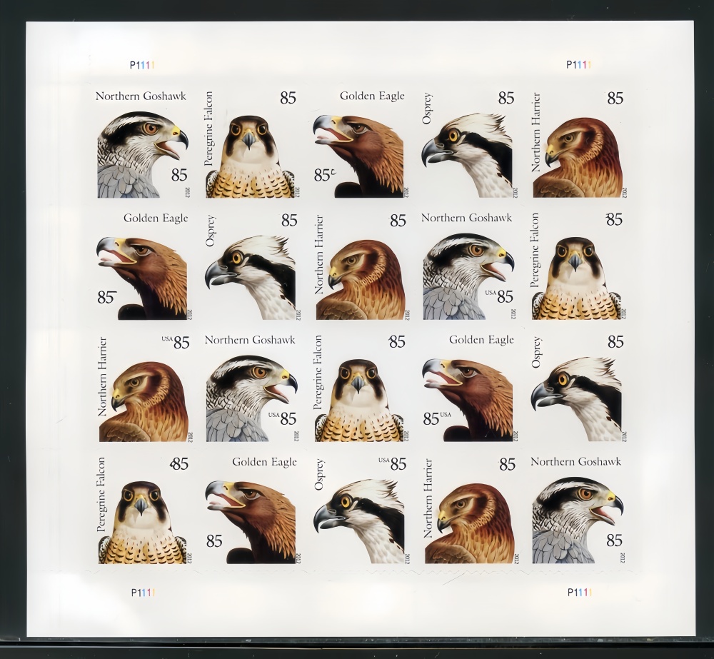 2012 BIRDS OF PREY Forever First Class Postage Stamps