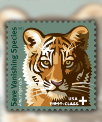 2011 Save Vanishing Species™ Tiger Forever First Class Postage Stamps