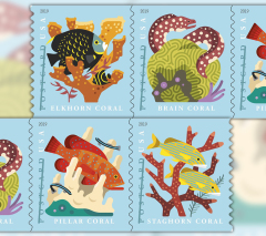 2019 Coral Reefs Forever First Class Postage Stamps