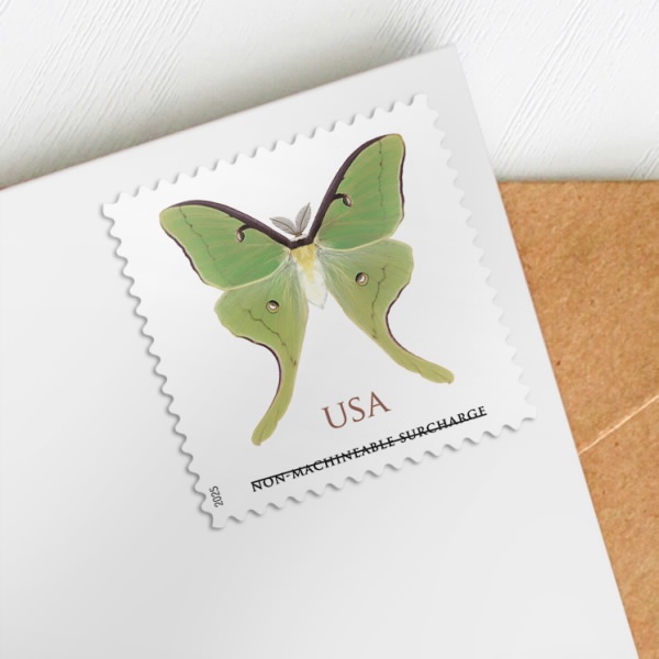 2025 Luna Moth Pane Forever First Class Postage Stamps