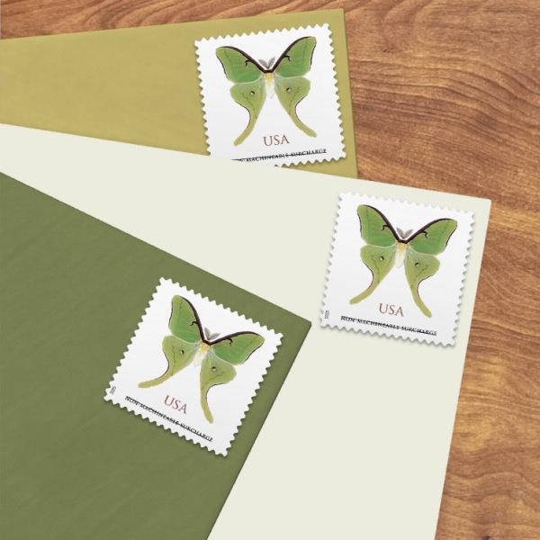 2025 Luna Moth Pane Forever First Class Postage Stamps