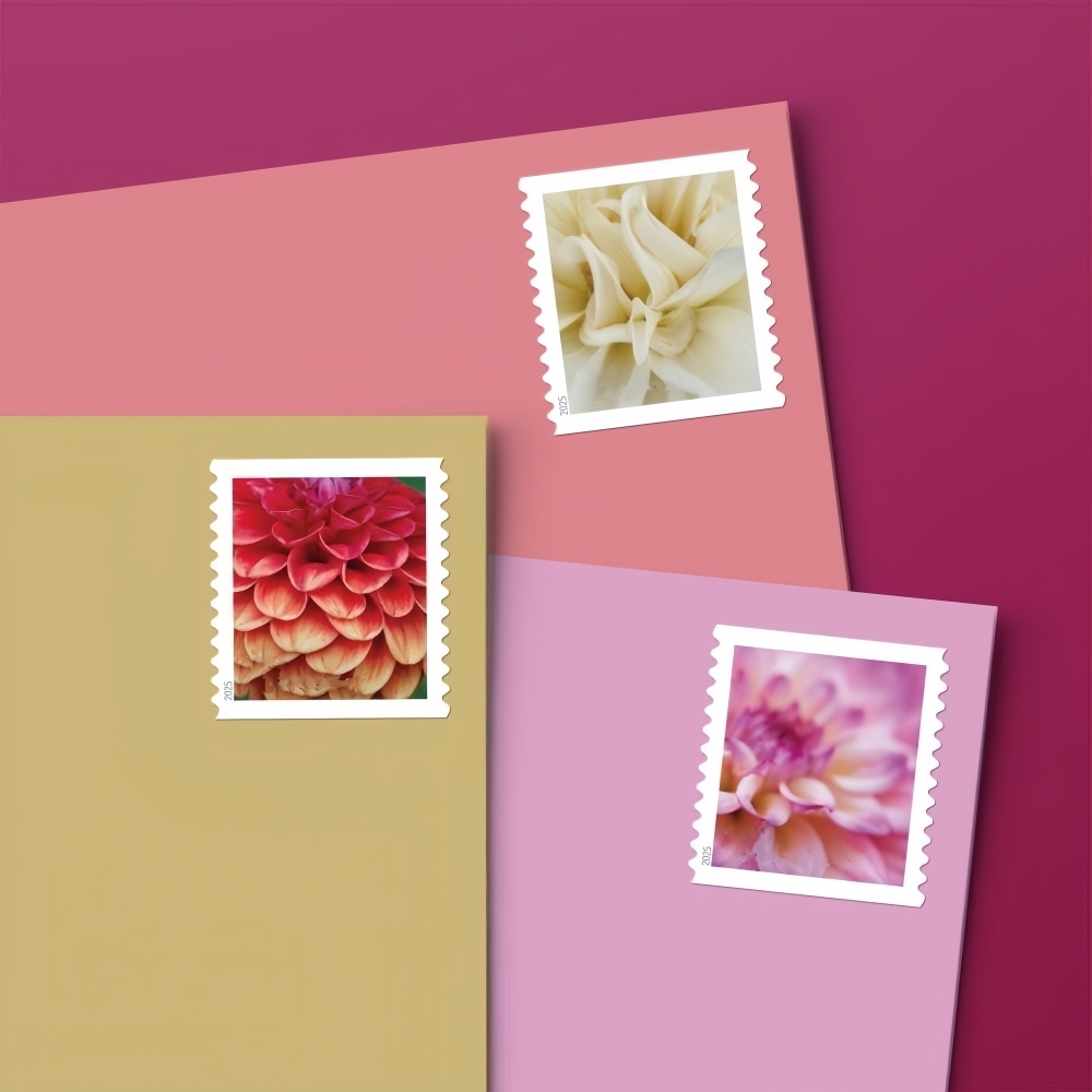 2025 Dahlias Forever First Class Postage Stamps