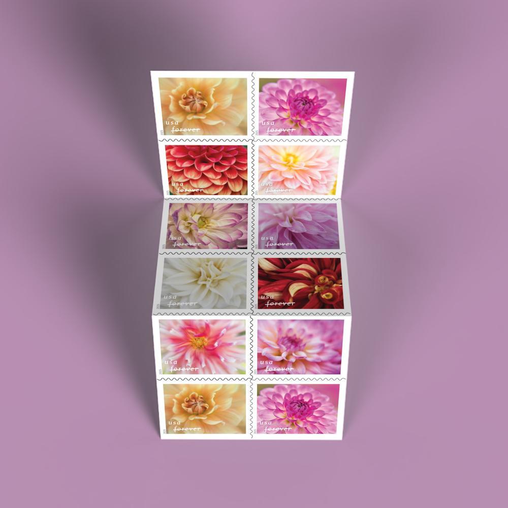 2025 Dahlias Forever First Class Postage Stamps