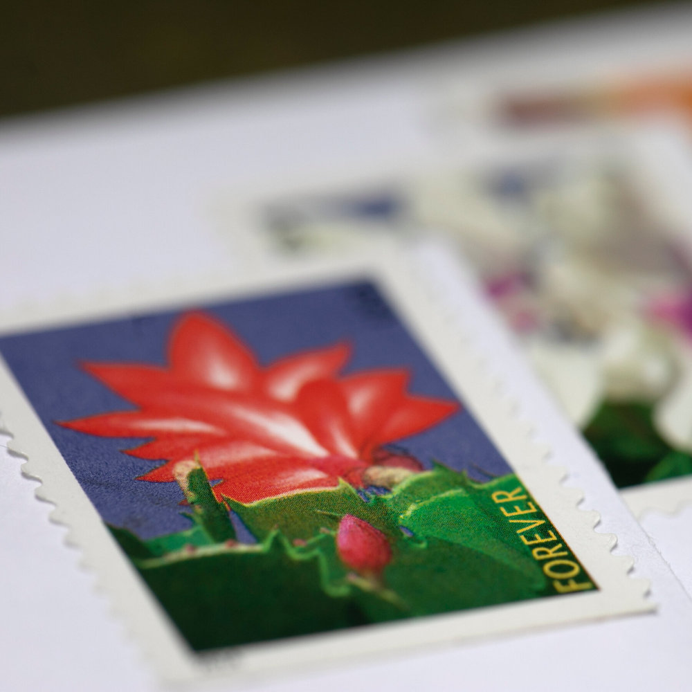 2014 Winter Flowers  Forever First Class Postage Stamps