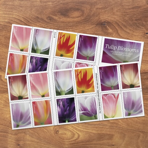 2023 Tulip Blossoms Forever First Class Postage Stamps