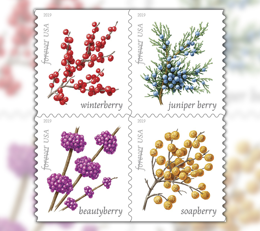2019 Winter Berries Forever First Class Postage Stamps