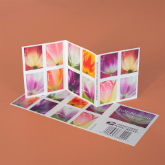2023 Tulip Blossoms Forever First Class Postage Stamps