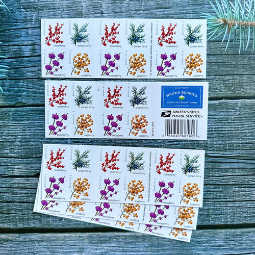 2019 Winter Berries Forever First Class Postage Stamps