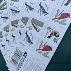 2018 Birds in Winter  Forever First Class Postage Stamps