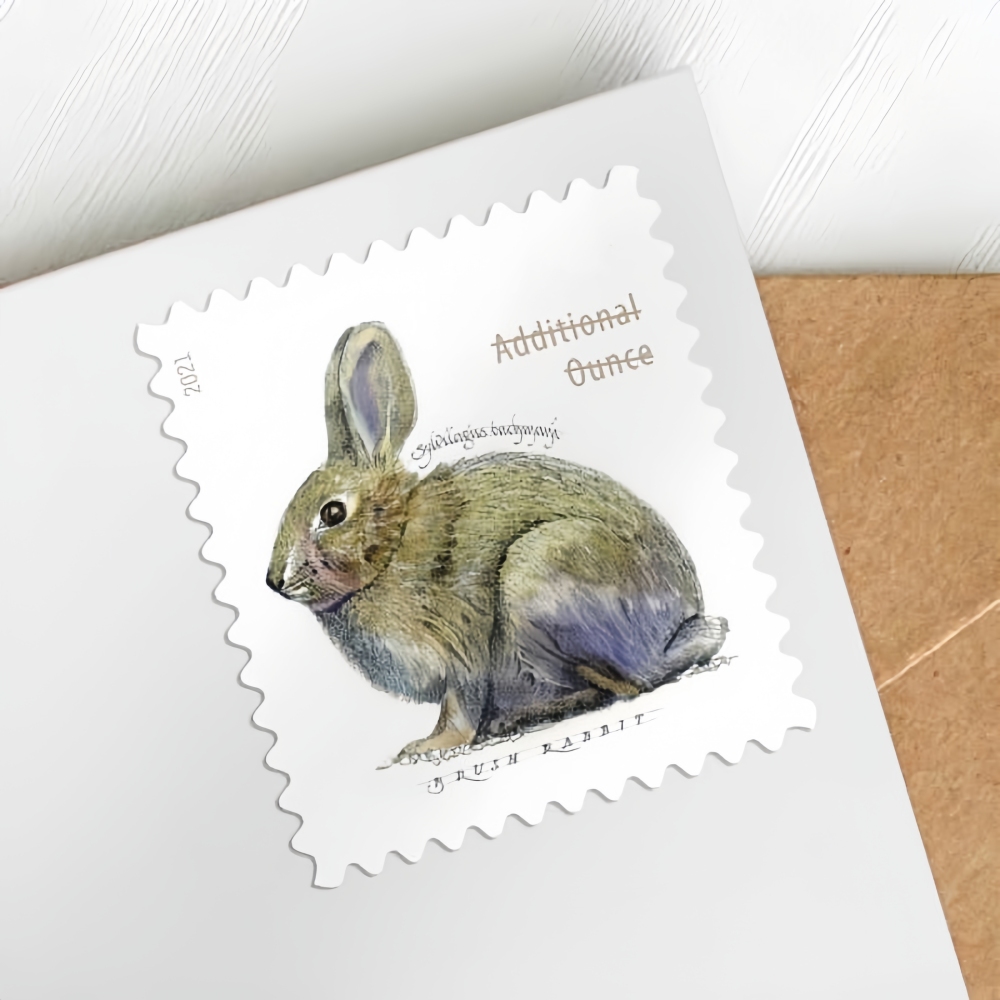2021 Brush Rabbit  Forever First Class Postage Stamps