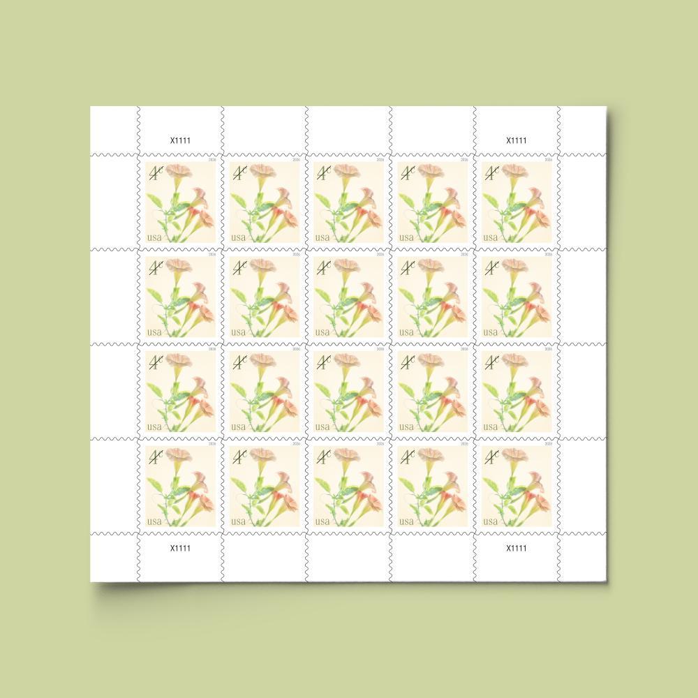 2026 4¢ Angel's Trumpets  Forever First Class Postage Stamps