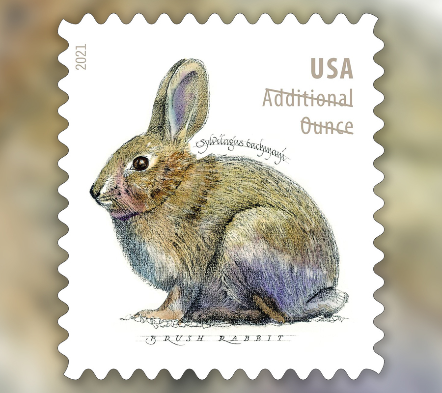 2021 Brush Rabbit  Forever First Class Postage Stamps