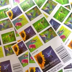 2024 Garden Delights