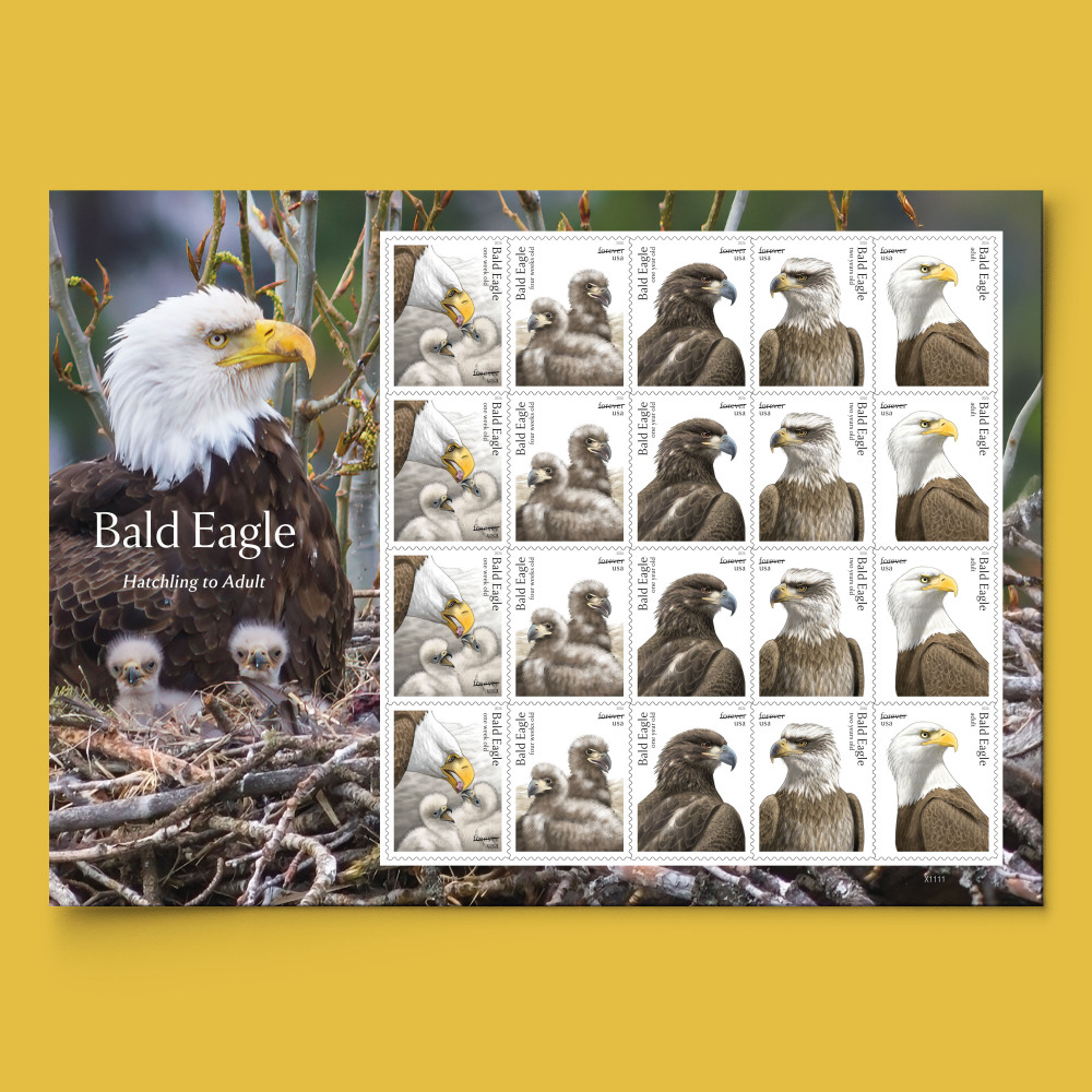 2026 Bald Eagle  Forever First Class Postage Stamps