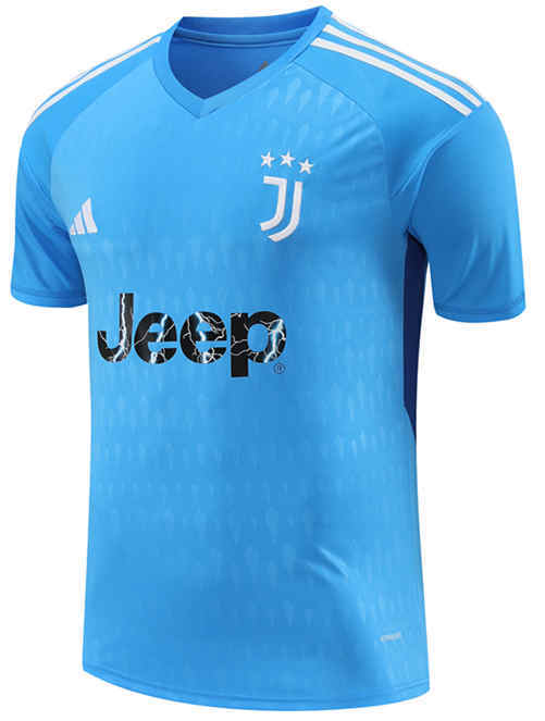 2023-2024 Juventus Goalkeeper Blue Thailand Soccer Jersey-418