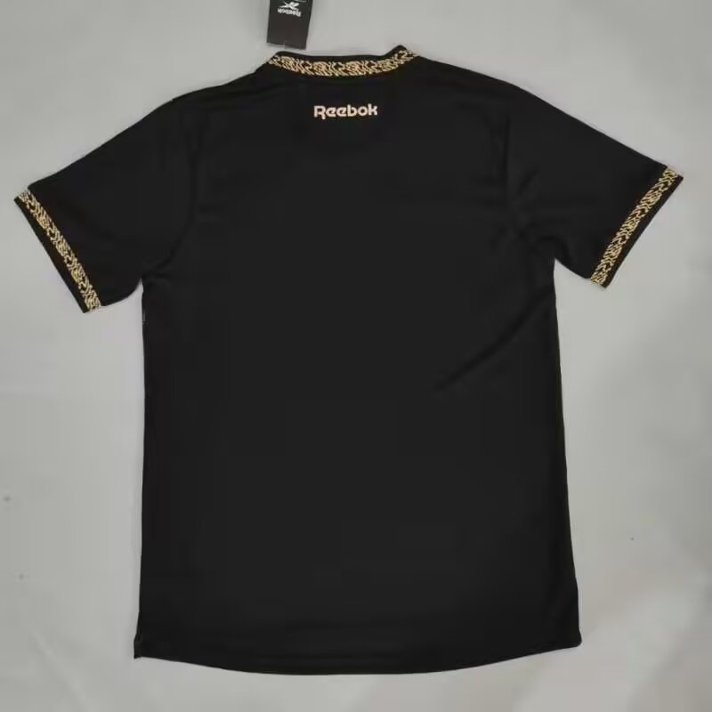 (S-4XL) 2024-2025 Botafogo de FR Away Black Thailand Soccer Jersey AAA-908
