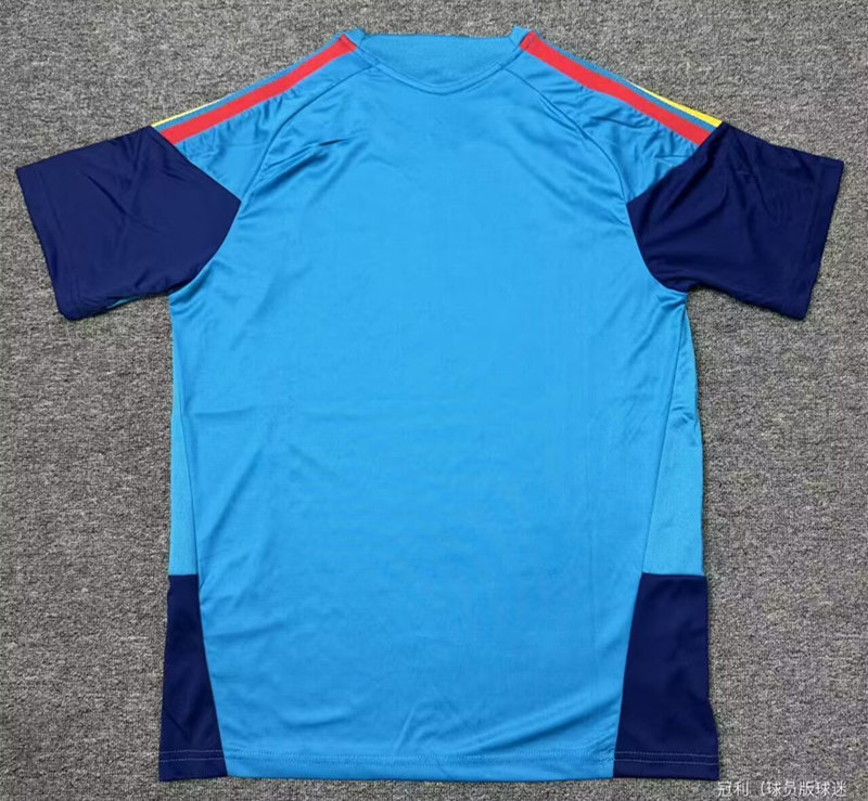 (S-4XL) 26-27 Spain Blue Thailand Soccer Training Jersey-5493