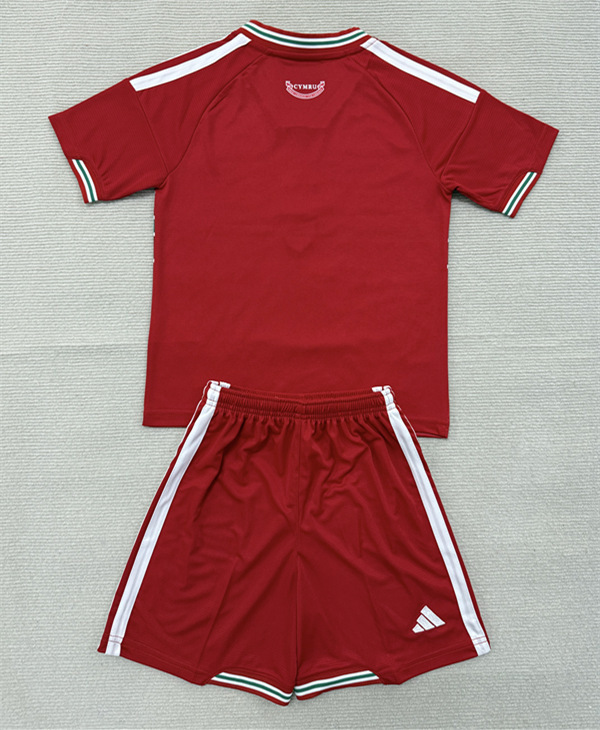 26-27 Wales Home Red Soccer Uniform-AY
