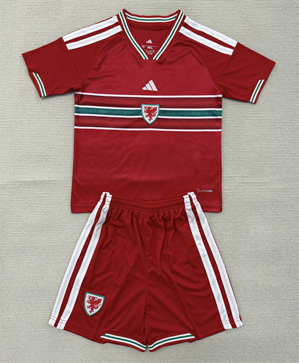 26-27 Wales Home Red Soccer Uniform-AY