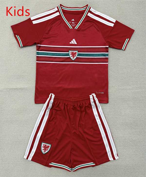 26-27 Wales Home Red Kids/Youth Soccer Uniform-AY