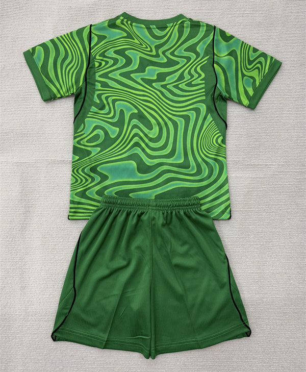 26-27 Brazil Goalkeeper Green Soccer Uniform-AY