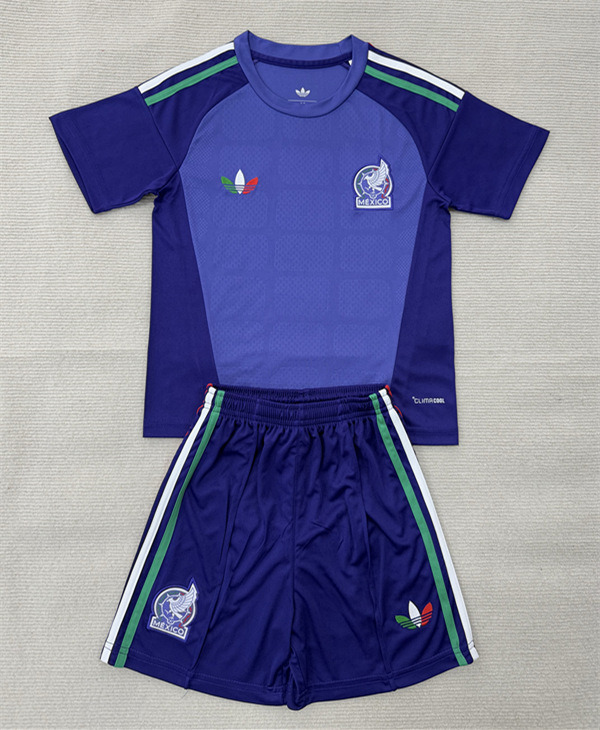 26-27 Mexico Goalkeeper Purple Soccer Uniform-AY